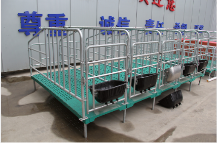 為什么要使用母豬定位欄？